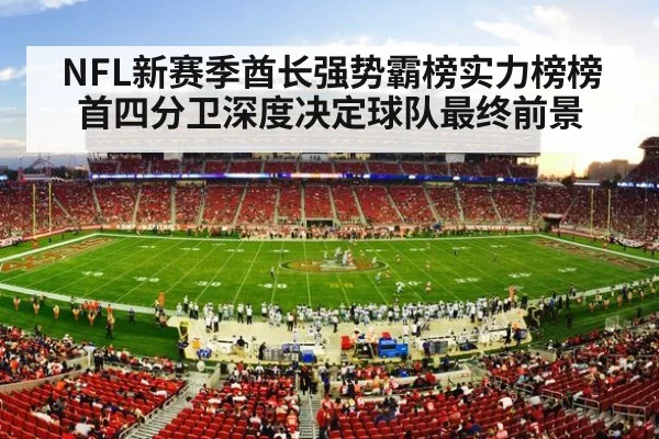 NFL stadium game action