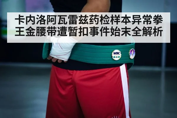 boxing championship belt